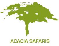 Acacia