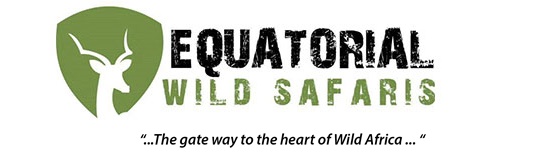 EQUATORIAL