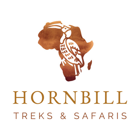 HORN BILL