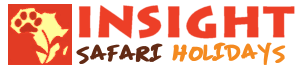 INSIGHT