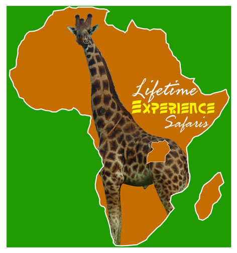 LIFETIME