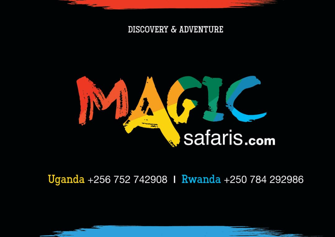 Magic Safaris