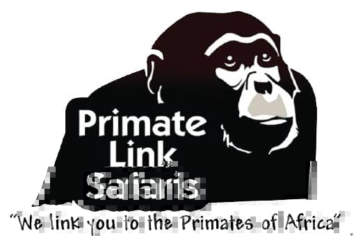 PRIMATE SAFARIS