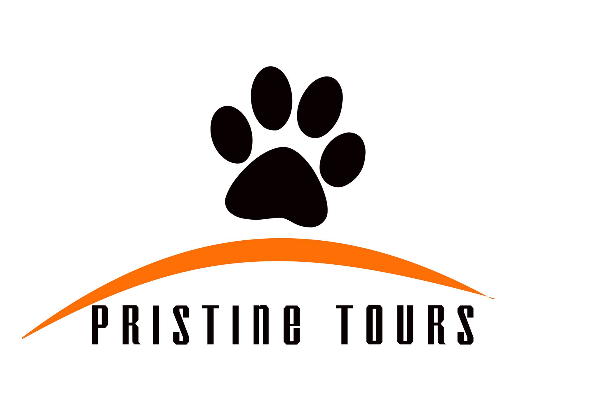 Pristine-Logo