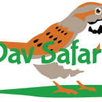 Dav Safari logo