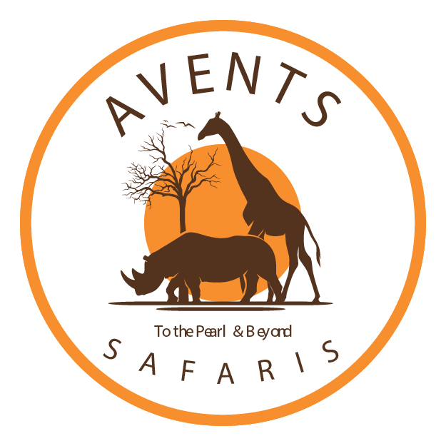 Avents Logo (1)