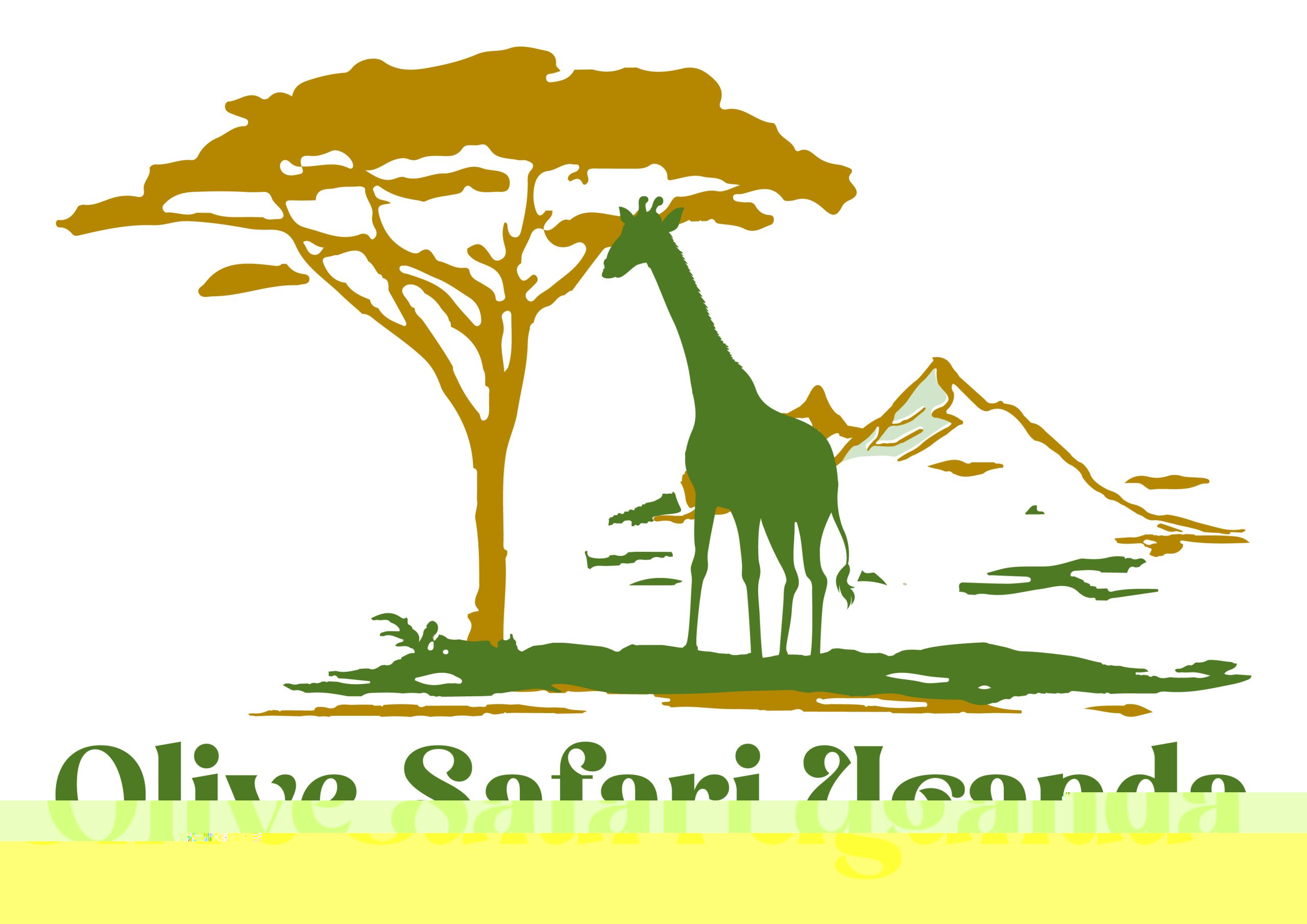 olivesafari logo