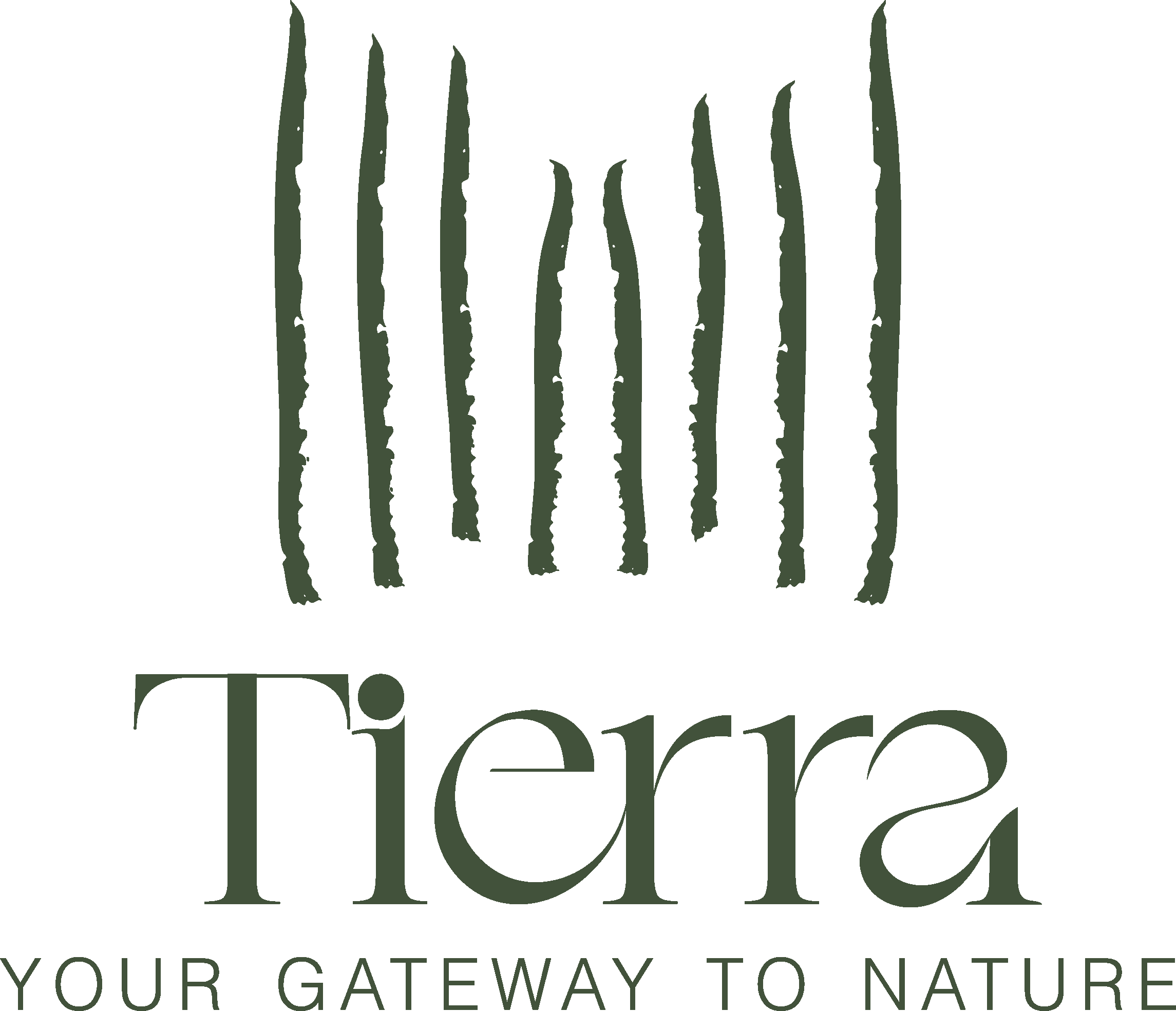 Tierra Full Logo Green