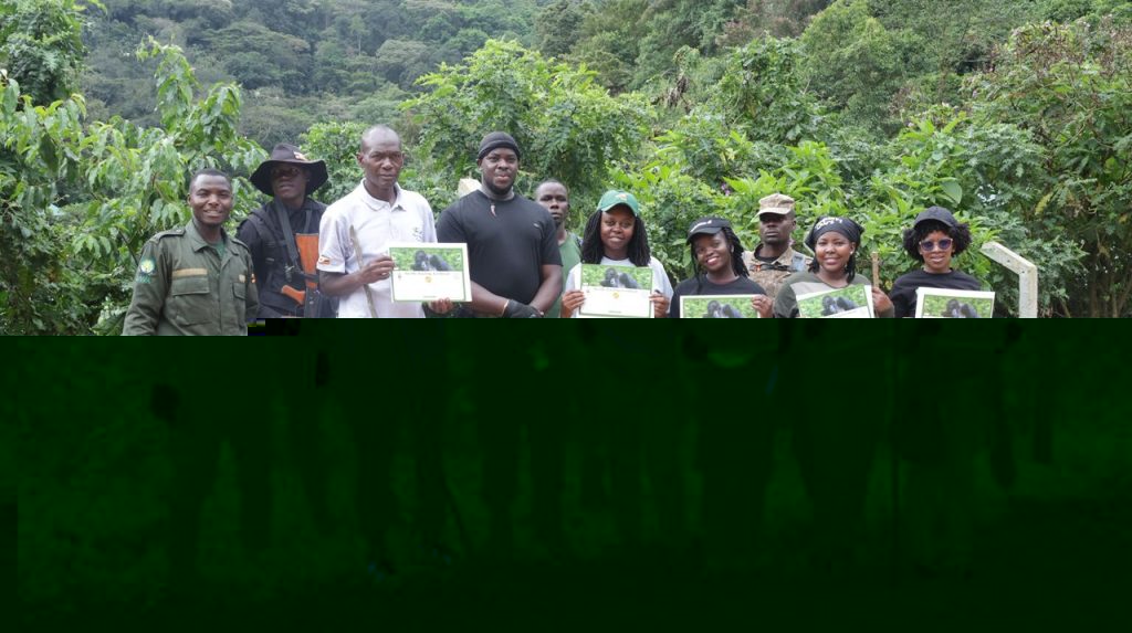 certificates after trekking