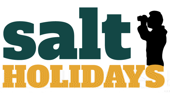 salt holidays logo