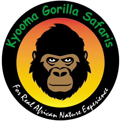 kyooma-gorilla-safaris