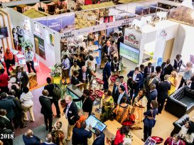 MKTE-2018-P1233723-copy